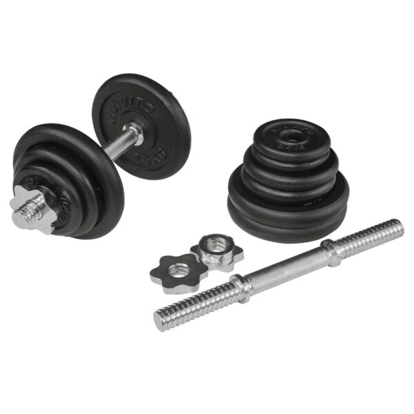 Viavito 20kg Black Cast Iron Dumbbell Set with 4ft EZ Curl Bar