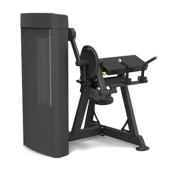 Spirit Fitness Dual Biceps Curl / Triceps Extension - Image 3